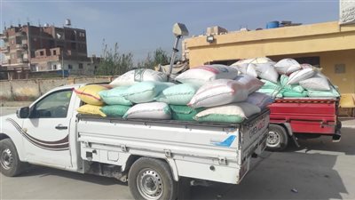 مزارعو البحيرة يواصلون توريد القمح واستلام أكثر من 108 آلاف طن حتى اليوم