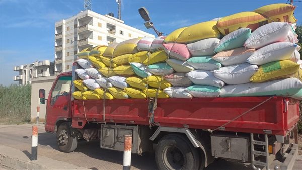 توريد القمح لشون