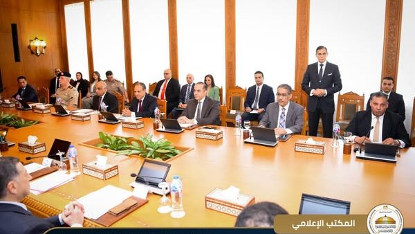 المستشار محمود فوزي