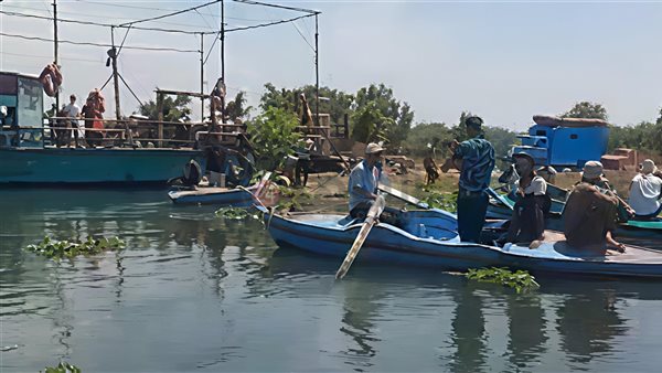 عمليات البحث 