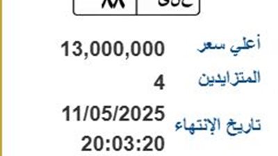 لوحة مرور مميزة في مصر تحمل حروف 