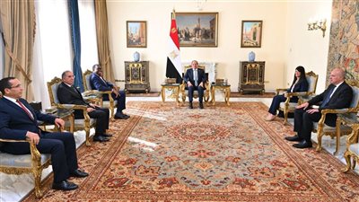 السيسي يلتقي رئيس مجموعة البنك الإفريقي للتنمية