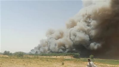 اندلاع حريق داخل الغابات الشجرية في الجبلاو بقنا.. والدفع بسيارات الإطفاء