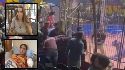 قضية عامل سيرك طنطا.. أنوسة كوته خلال التحقيقات: حذرت العاملين محدش يمد أيده جوه القفص |انفراد