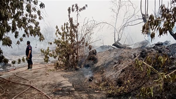 جانب من الحريق