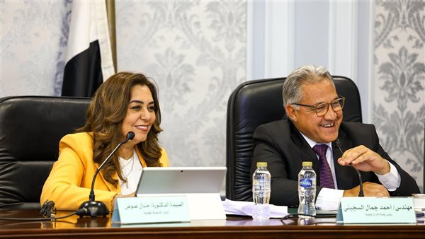 وزيرة التنمية المحلية