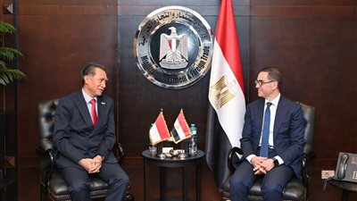 وزير الاستثمار: مصر تمثل وجهة استثمارية واعدة وتتمتع بإمكانات تنافسية كبيرة