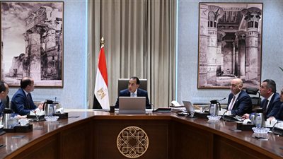 رئيس الوزراء يستعرض جهود تعزيز استدامة جهاز المشروعات الصغيرة واستمرارية تحقيق أهدافه