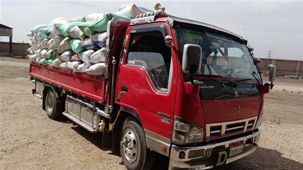 جانب من عمليات التوريد