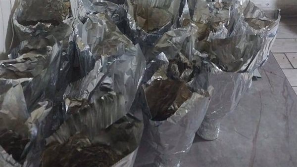 جانب من المضبوطات