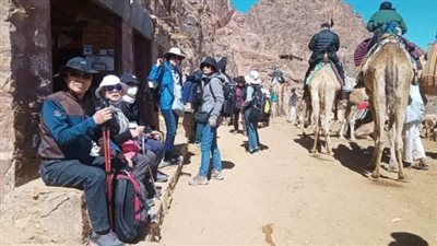 308 سائحا في زيارة المقدسات الدينية بمدينة سانت كاترين