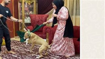 هجوم على البلوجر أم سجدة بعد نشر فيديو تتعدى فيه على كلب