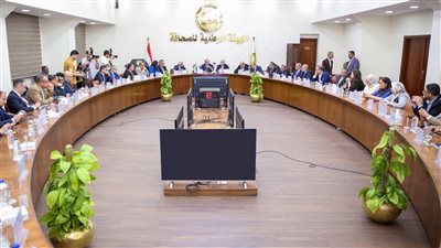 قطاع الأعمال: 60 مليار جنيه إيرادات و17 مليار صافي الربح خلال النصف الأول من 2024-25