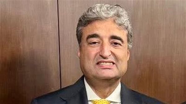 عمرو الألفي عضو مجلس