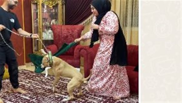 البلوجر أم سجدة