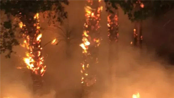 حريق - أرشيفية 