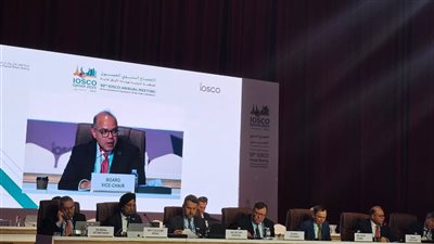 رئيس الرقابة المالية: حماية المستثمرين الأفراد أولوية قصوى في ظل تزايد المنصات الرقمية