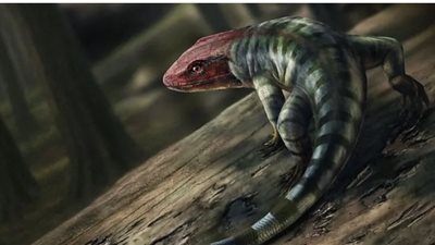 تعود لملايين السنوات.. باحثون يعثرون على آثار متحجرة لحيوان يشبه الزواحف 