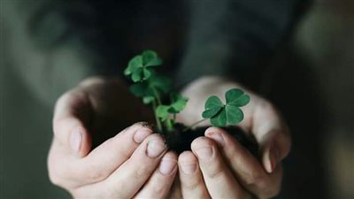 دعاء بعد صلاة الفجر للرزق.. أدعية نبوية تُغنيك بالمال وتقضي دينك