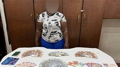 حبس أجنبية لاتهامها بسرقة مبالغ مالية من داخل شقة بمنطقة قصر النيل