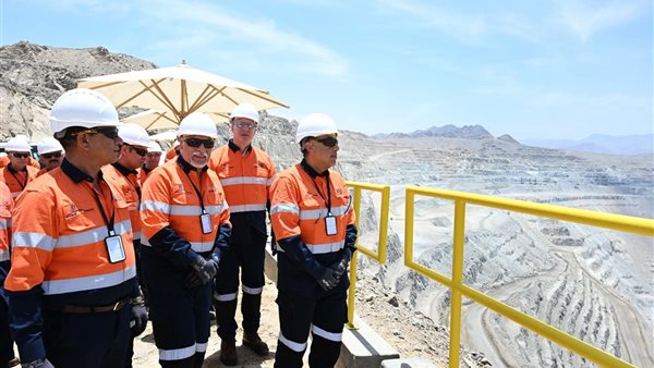 رئيس الوزراء 