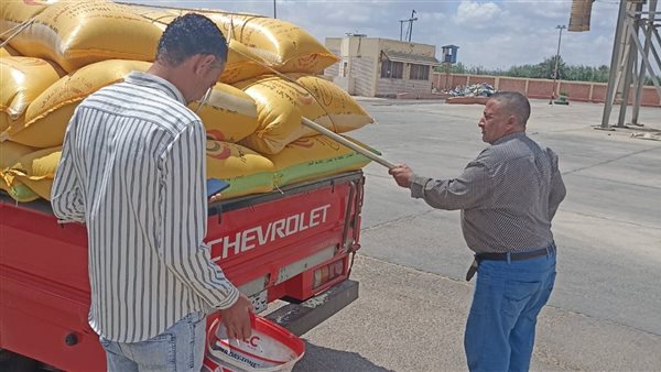 توريد القمح لشون