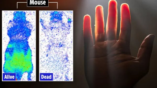  أجسام البشر تُصدر