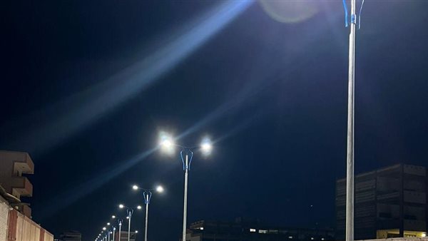 الجهود التنفيذية