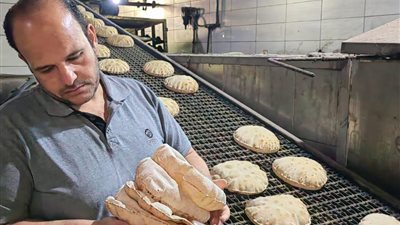 ضبط أكثر من 25 طنًا سلعًا غير مطابقة للمواصفات وتحرير 366 مخالفة تموينية بالدقهلية 