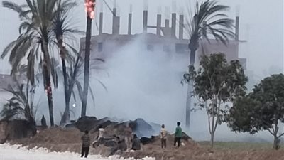 نفوق 8 رؤوس ماشية في حريق نشب بأرض زراعية بالسويس