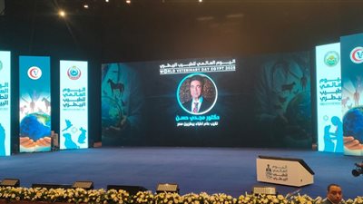 نقيب الأطباء البيطريين في يومهم العالمي: الطب البيطري شريك في تحقيق الأمن الغذائي والتنمية المستدامة