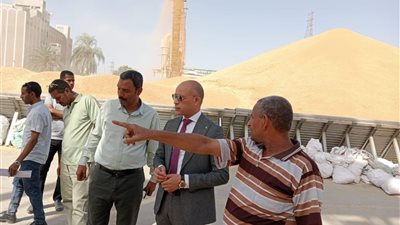 زيادة ملحوظة في معدلات التوريد.. صوامع وشون قنا تستقبل 153 ألف طن قمح