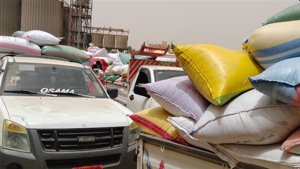 توريد محصول القمح