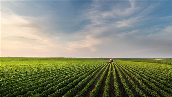 أراضي-أرشيفية