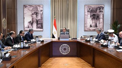 رئيس الوزراء يوجه بحصر الآثار الغارقة التي لا تصلح لاستخراجها.. وخطة عاجلة لانتشال البقية