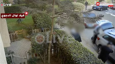 فيديو سرقة نوال الدجوي.. جهات التحقيق تفحص واقعة سرقة الملايين والثروات من منزل مؤسسة جامعة أكتوبر للعلوم الحديثة| حصري