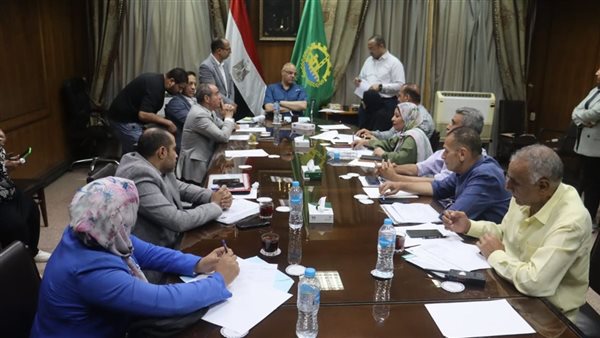 محافظ القليوبية