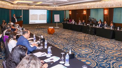 ميناء دمياط يشارك بورشة عمل استراتيجية التنمية الاقتصادية لدمياط وقنا ضمن مشروع حينا