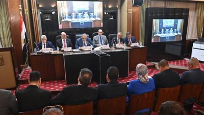 نشكر الأغلبية.. الحكومة توافق على تعديل قوانين الانتخابات البرلمانية وتقسيم الدوائر 