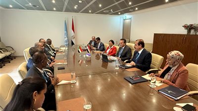 وزير الصحة يبحث مع نظيره السوداني تفعيل بروتوكول تعاون بشأن مكافحة البعوضة الناقلة للملاريا