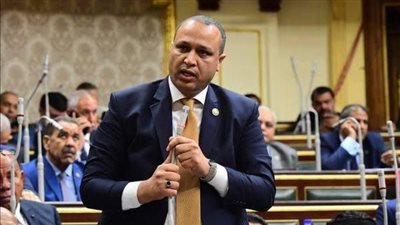 طلبة أمينا للجبهة الوطنية في الإسماعيلية وعارف أمينا مساعدا بأمانة الزراعة