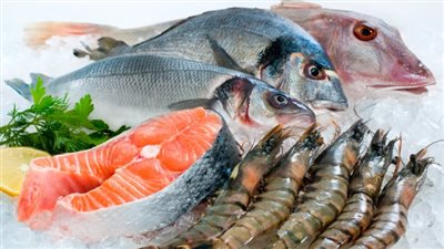 أسعار الأسماك اليوم الخميس 4 ديسمبر 2025 بالأسواق