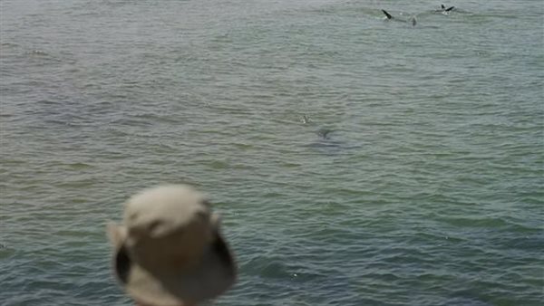  ظهور نادر لثاني