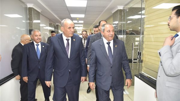 الجهود التنفيذية