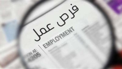 3068 فرصة عمل جديدة بالمحافظات.. اعرف آخر موعد للتقديم 