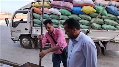 توريد أكثر من 254 ألف طن قمح لشون وصوامع البحيرة