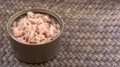  بسبب احتوائها على أوميجا 3.. فوائد التونة للوقاية من السرطان 