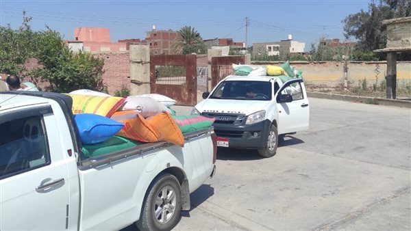 توريد القمح لشون