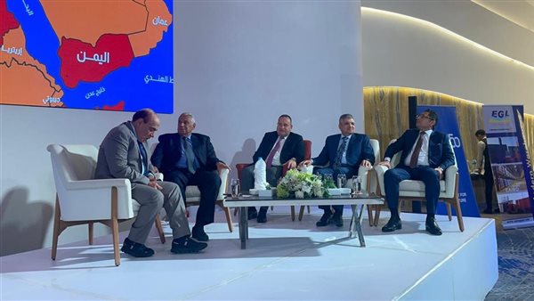 جانب من الندوة 