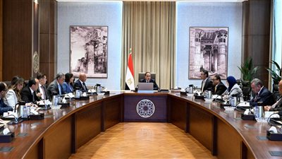 رئيس الوزراء يستعرض تحديات قطاع صناعة الحديد والصلب وآليات وخطوات النهوض به